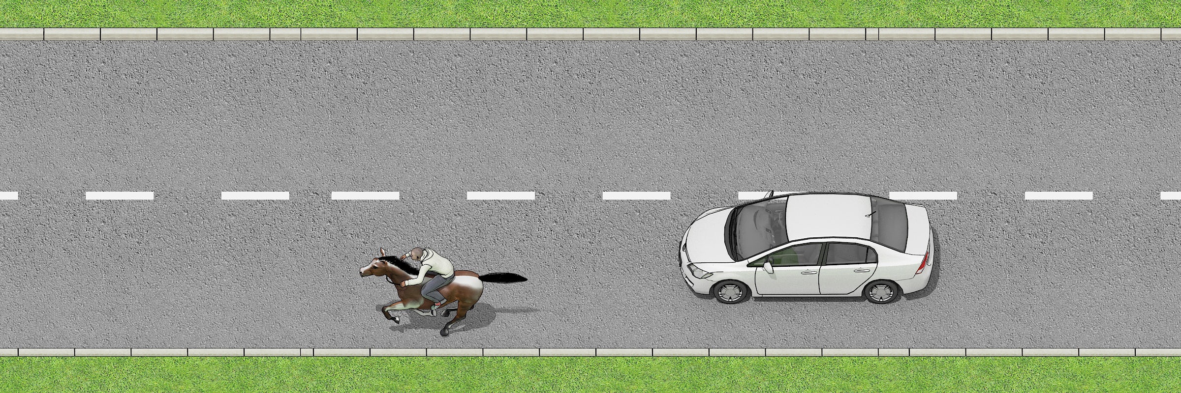 Horses are easily scared - give them plenty of room