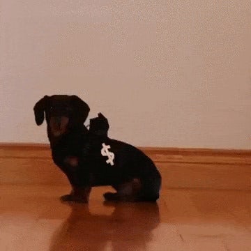 Ne vous mêlez pas des poursuites policières!